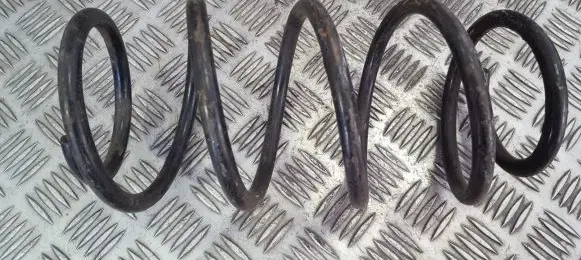 Front coil spring