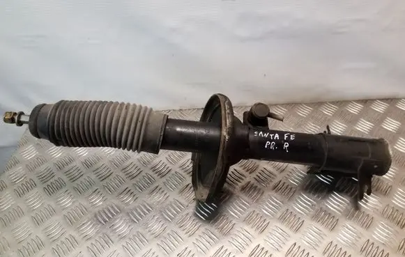 Hyundai Santa Fe Front shock absorber/damper 5466026300