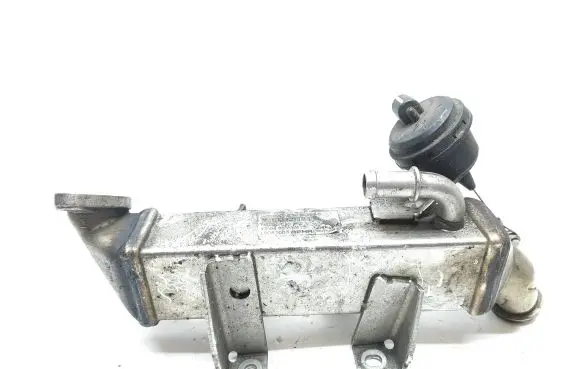Renault Koleos I EGR valve cooler 8200719993 L0281006