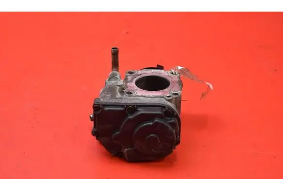 Chevrolet Aveo Throttle body valve 