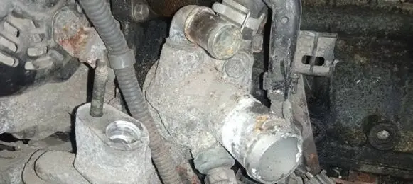 Honda Accord Engine coolant pipe/hose