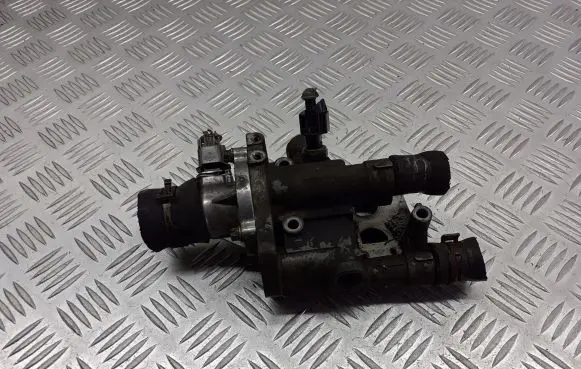 Thermostat/thermostat housing