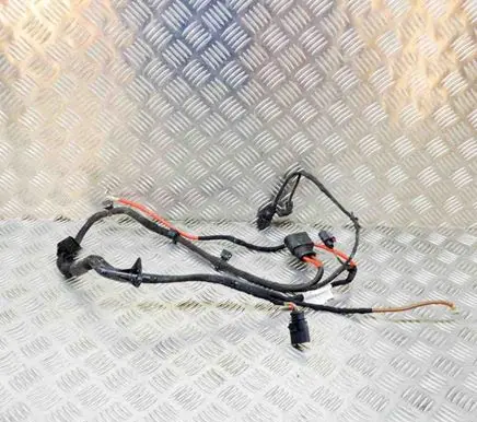Other wiring loom