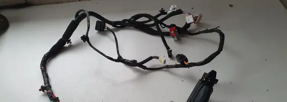 Hyundai Kona I Front door wiring loom