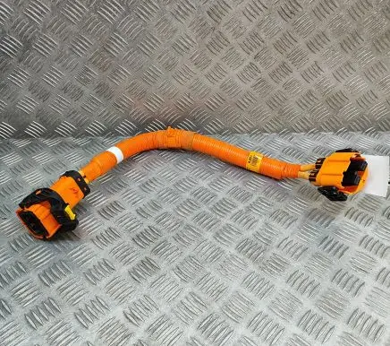 KIA EV6 Other wiring loom 916A3CV010