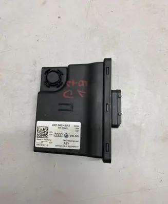 Porsche Taycan 9J1 Other control units/modules 4KE965429J 2220489717