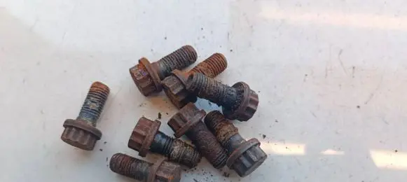 Renault 19 Nuts/bolts 
