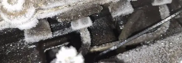 Nissan Almera Tino Fuel injector 