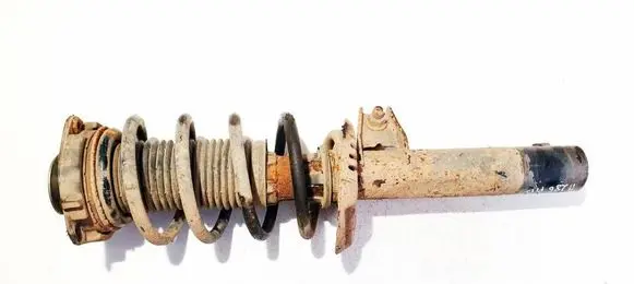 Volkswagen PASSAT B6 Front shock absorber/damper 
