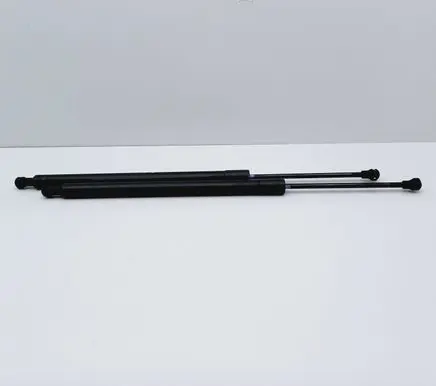 Tailgate/trunk strut/damper