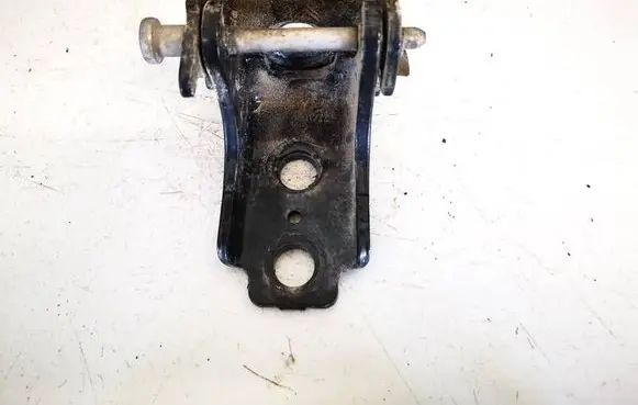 Citroen C3 Rear door lower hinge