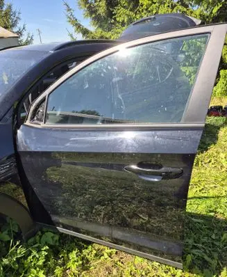 Hyundai Tucson TL Front door