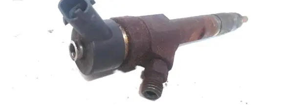 Renault Megane II Fuel injector