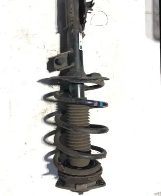 Nissan Qashqai Front shock absorber with coil spring 824903009191 314038