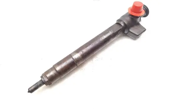 Peugeot Boxer Fuel injector 9824388280