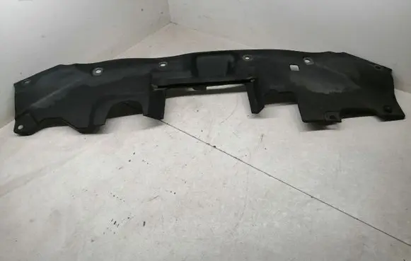 Engine bonnet/hood lock trim molding