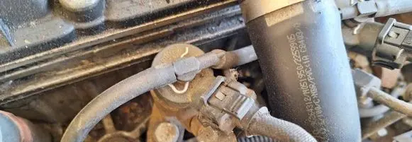 Fuel injector