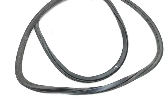 Volkswagen Tiguan Allspace Front door rubber seal 