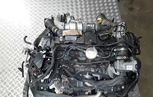 Ford Focus Engine Xxdc