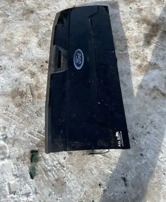 Ford F150 Tailgate/trunk/boot lid 