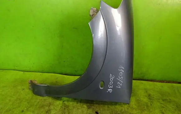 Citroen C3 Fender