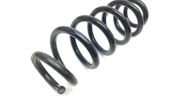 Rear coil spring