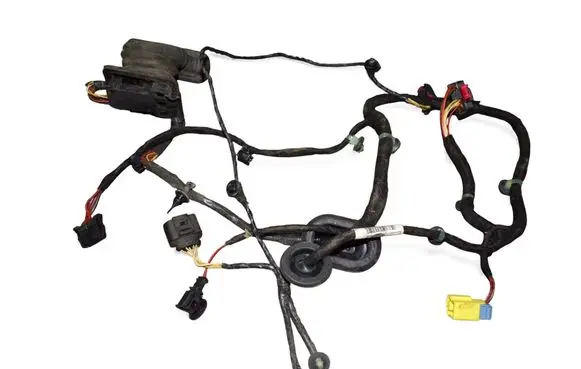 Volkswagen PASSAT B7 Rear door wiring loom 3C0971615