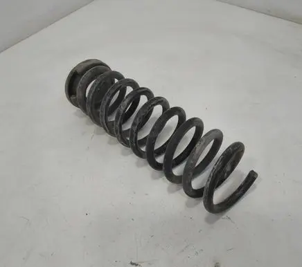 Rear coil spring