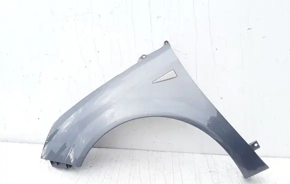 Fender