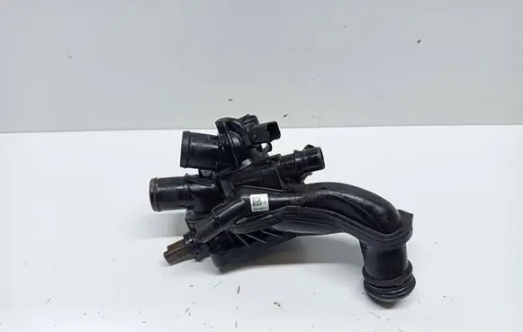 Thermostat/thermostat housing