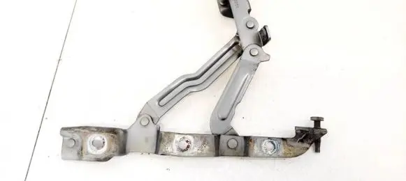Tailgate/trunk/boot hinge
