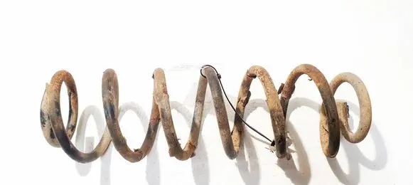 Volkswagen Bora Rear coil spring