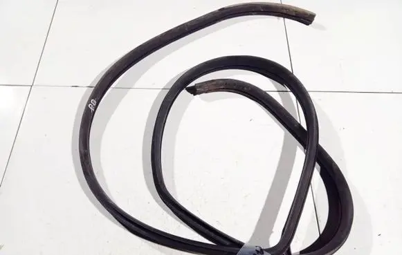 Chevrolet Captiva Rubber seal front coupe door 