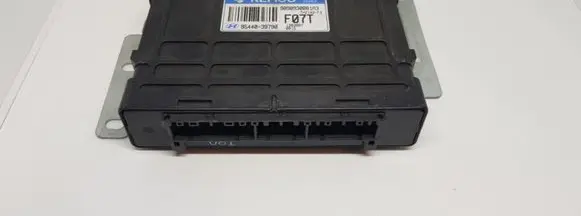 Hyundai Trajet Engine control unit/module 9544039790