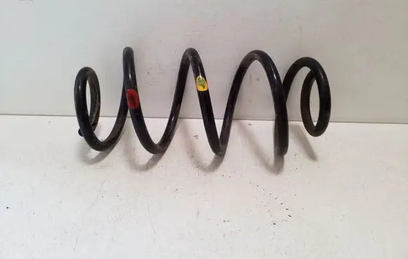 Rear coil spring