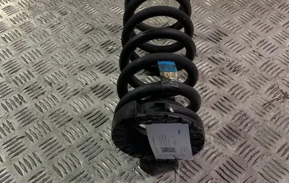 Ford Mustang VI Rear coil spring
