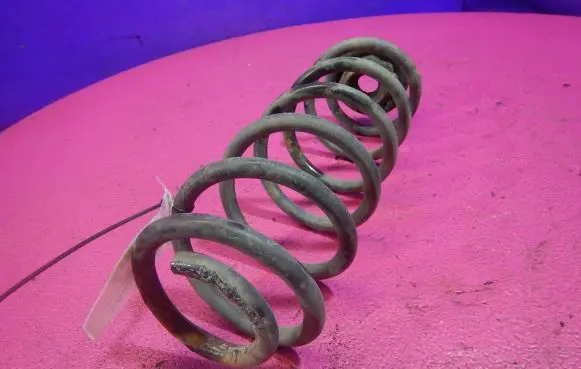 Seat Toledo II (1M) Rear coil spring