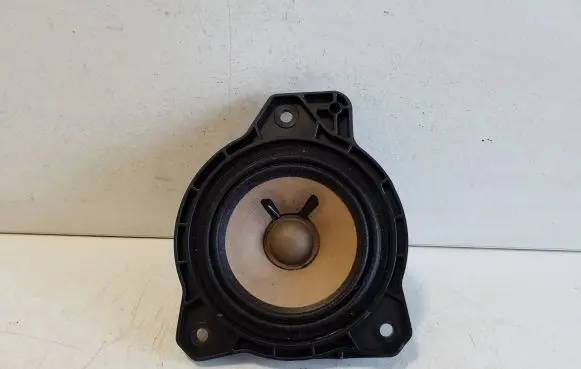 Panel speaker