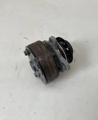 Renault Trafic III (X82) Water pump pulley 210516513R 210101687R
