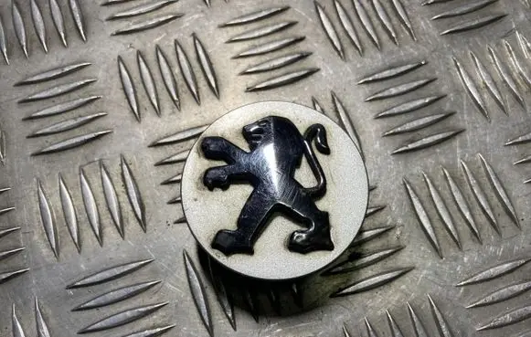 Peugeot 407 Original wheel cap 9636892077