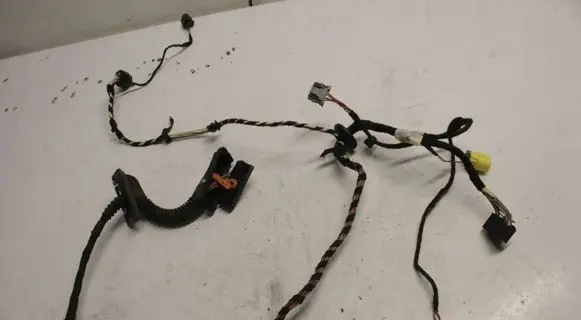 Volkswagen PASSAT CC Front door wiring loom 3C8971120