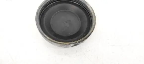 Headlight/headlamp dust cover