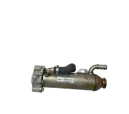 EGR valve cooler