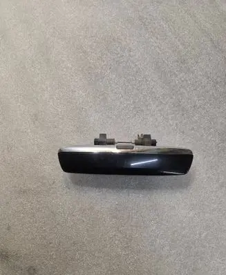 Audi A8 S8 D3 4E Front door exterior handle 