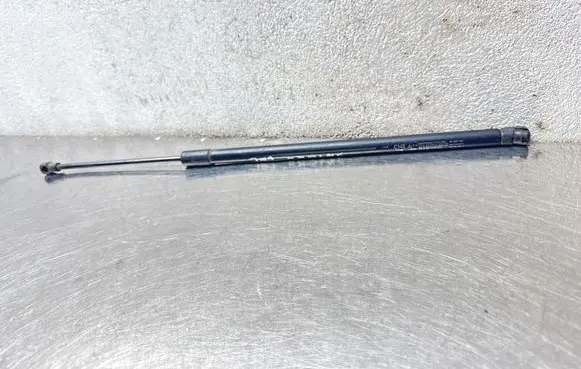 Opel Antara Tailgate/trunk strut/damper 95917196 05532220813