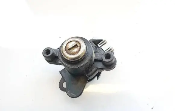 BMW 3 E46 Tailgate exterior lock 2410899