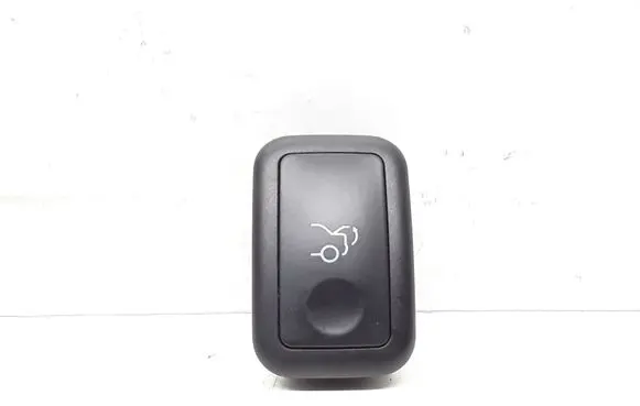 Tailgate opening switch