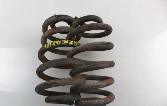 Audi A4 S4 B7 8E 8H Rear coil spring