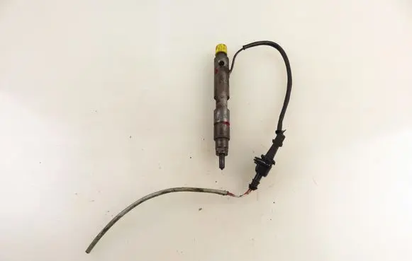 Renault Scenic I Fuel injector 8200047506 0432193563