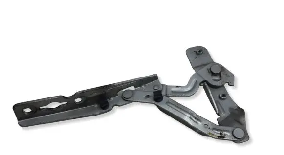 Ford C-MAX II Engine bonnet/hood hinges AM51R16800AE